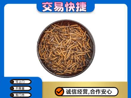 文山州麻栗坡高价回收散虫草