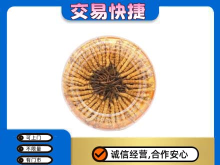 文山州麻栗坡高价回收虫草礼盒