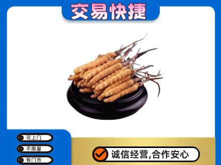 文山州麻栗坡礼品回收散虫草.jpg